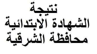 نتيجة الشهادة الابتدائية محافظة الشرقية