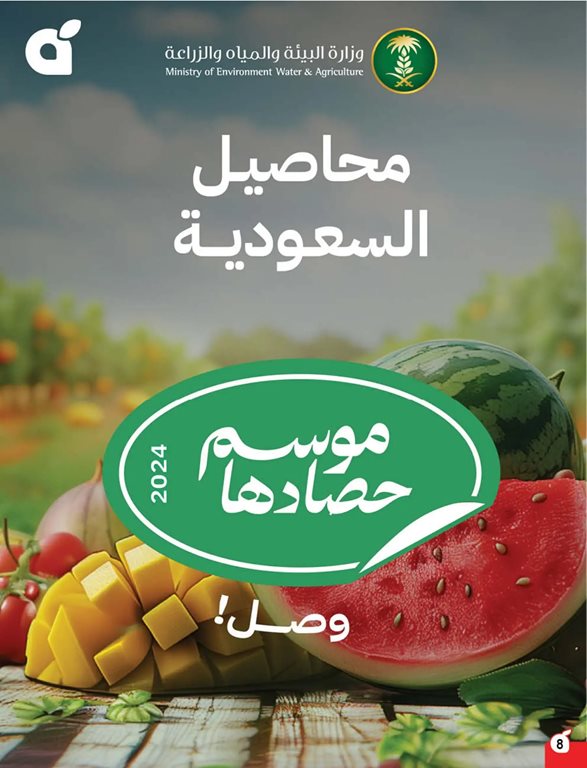 عروض بنده اليوم