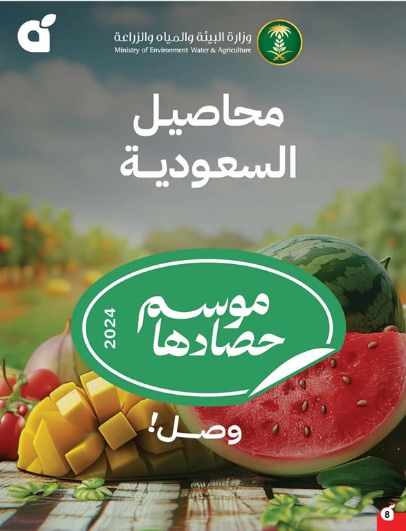 عروض بنده اليوم
