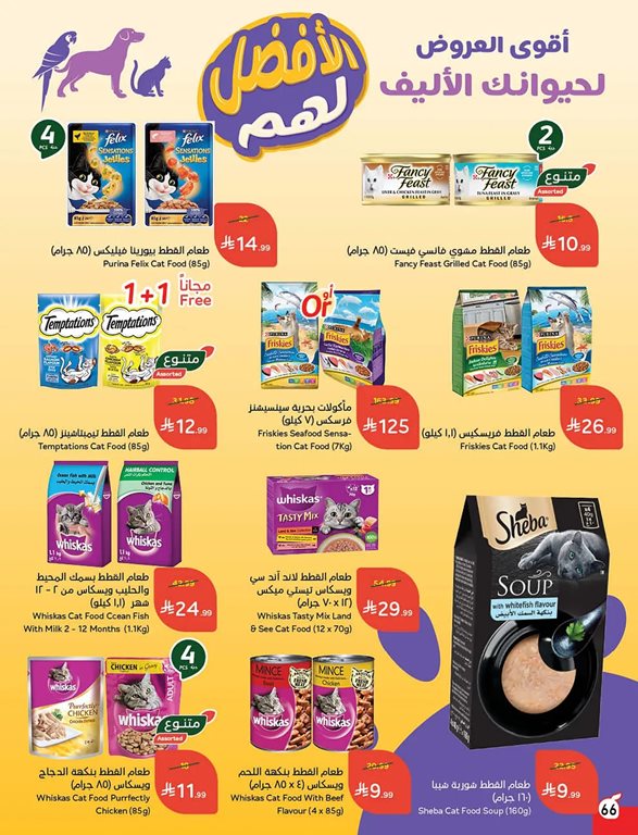 عروض بنده اليوم
