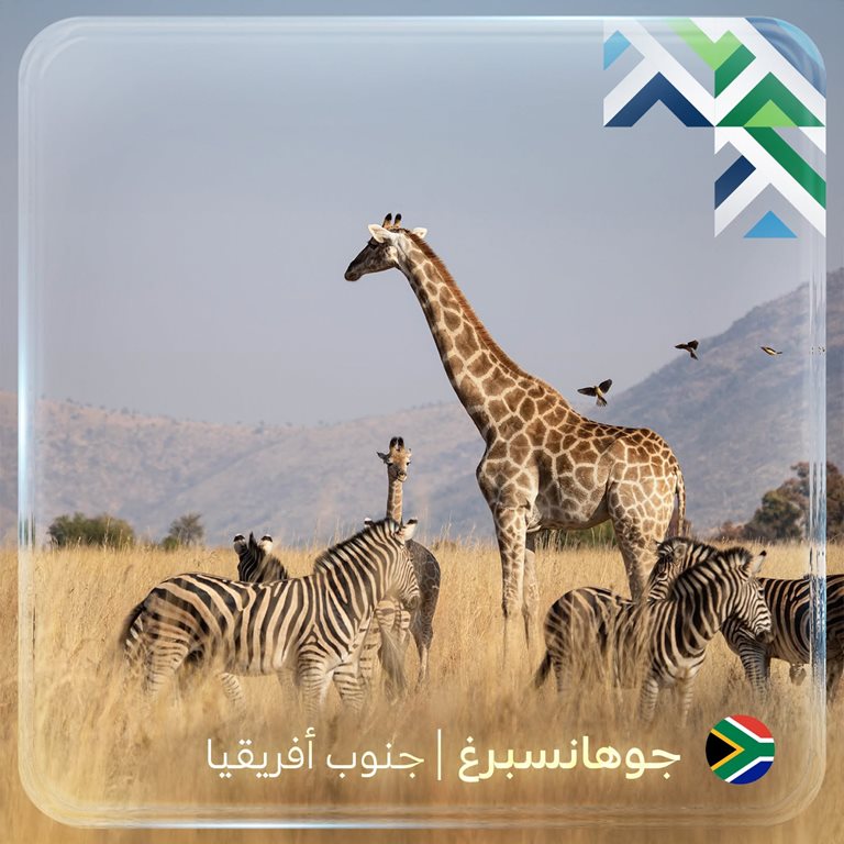 عروض الخطوط السعودية للرحلات الدولية اليوم