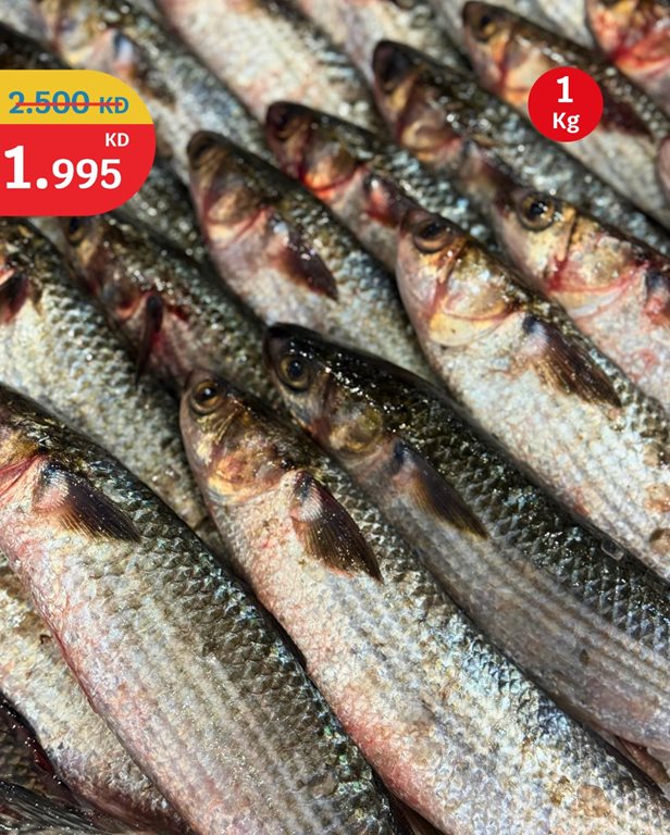 عروض سيتي سنتر الكويت