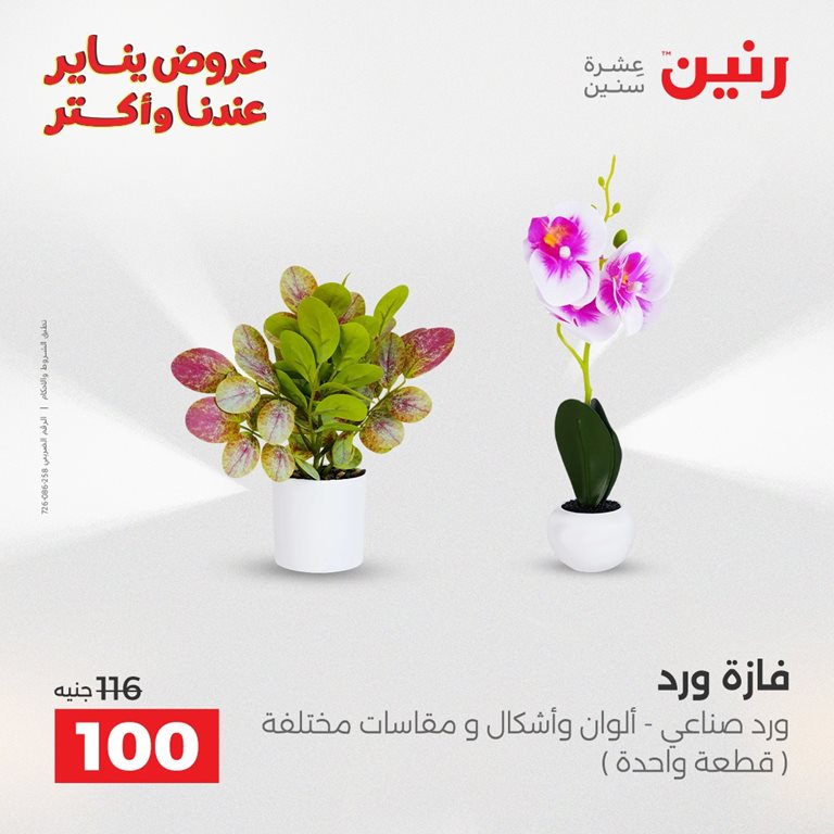 عروض رنين اليوم