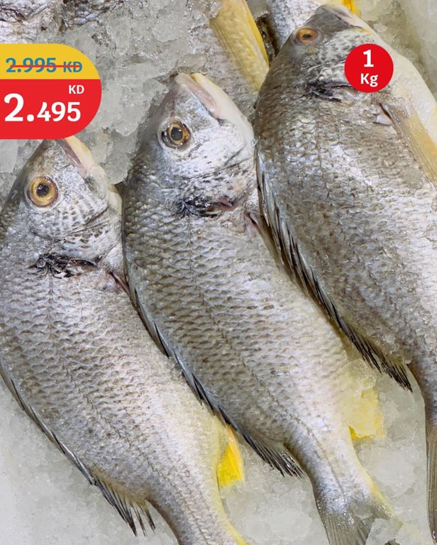 عروض سيتي سنتر الكويت