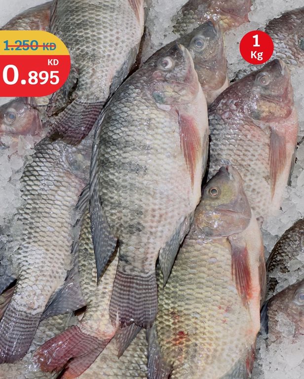 عروض سيتي سنتر الكويت